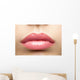 Beauty Glossy Pink Lips Wall Decal
