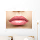Beauty Glossy Pink Lips Wall Decal