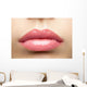 Beauty Glossy Pink Lips Wall Decal