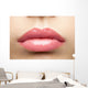 Beauty Glossy Pink Lips Wall Decal