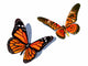 Butterfly Wall Decal Design 2