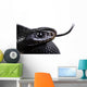 Red Bellied Black Snake Wall Decal