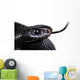 Red Bellied Black Snake Wall Decal