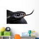 Red Bellied Black Snake Wall Decal