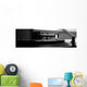 Platine Wall Decal Panoramic Wall Decal