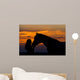 Beautiful Horse with Girl Wall Decal