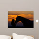 Beautiful Horse with Girl Wall Decal