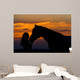 Beautiful Horse with Girl Wall Decal