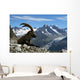 Bouquetin Au Pays Du Wall Decal