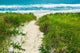 Sandy Path to Beach Wall Decal