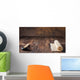 Mat for Sushi and Wall Decal