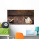 Mat for Sushi and Wall Decal