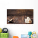 Mat for Sushi and Wall Decal