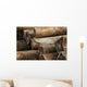 Logs Docks Wall Decal