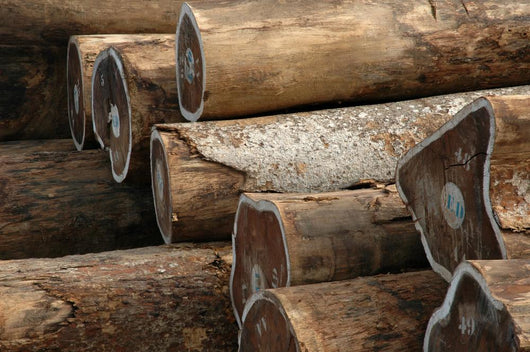 Logs Docks Wall Decal