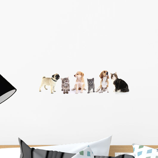 Cute Pets White Wall Decal Panoramic Wall Decal