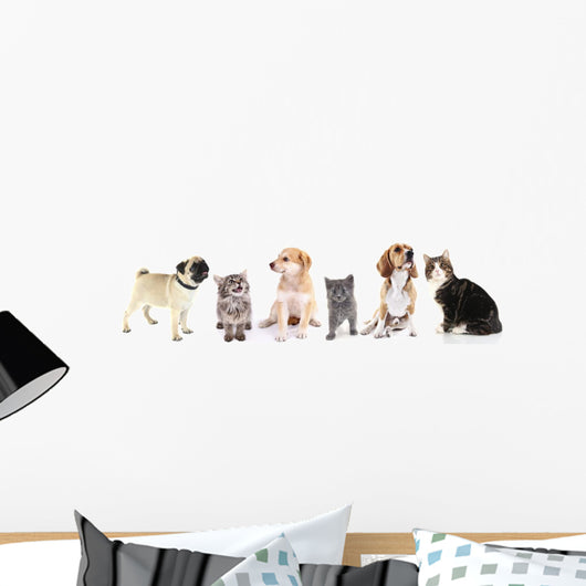 Cute Pets White Wall Decal Panoramic Wall Decal
