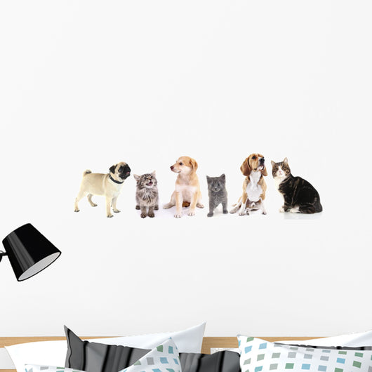 Cute Pets White Wall Decal Panoramic Wall Decal