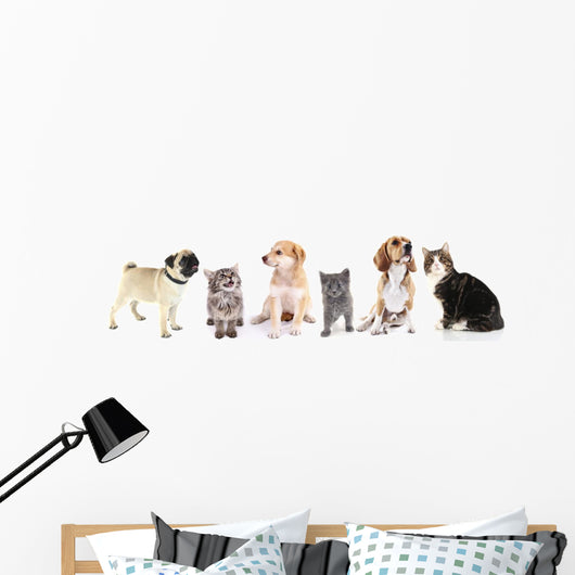 Cute Pets White Wall Decal Panoramic Wall Decal