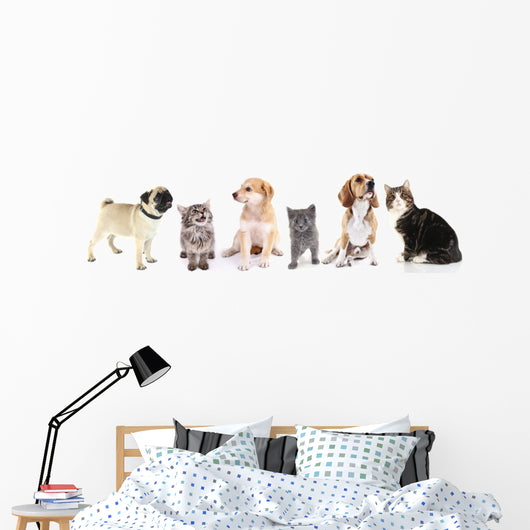 Cute Pets White Wall Decal Panoramic Wall Decal