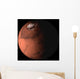Mars Wall Decal