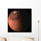 Mars Wall Decal