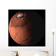 Mars Wall Decal