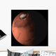 Mars Wall Decal
