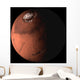Mars Wall Decal