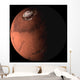 Mars Wall Decal
