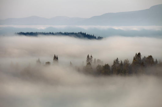 Mountain Fog Wall Decal