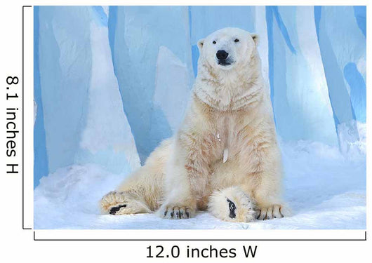 Polar Bear Sitting Icecap Wall Decal