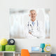 Male Doctor Portrait Wall Decal