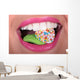 Bouche Bonbon Wall Decal
