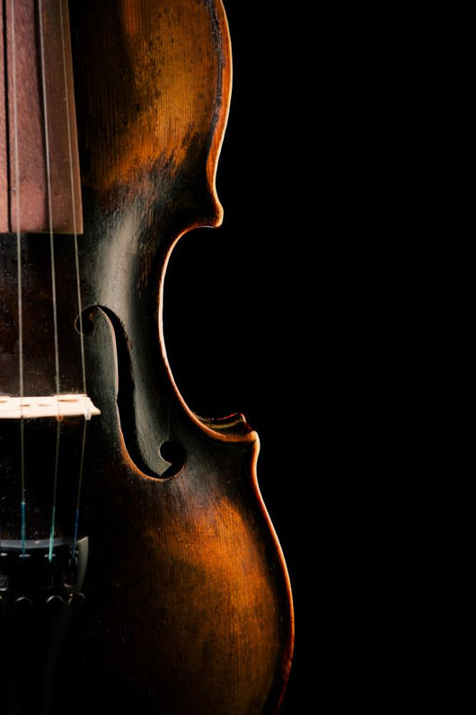 Vintage Violin Black Wall Decal