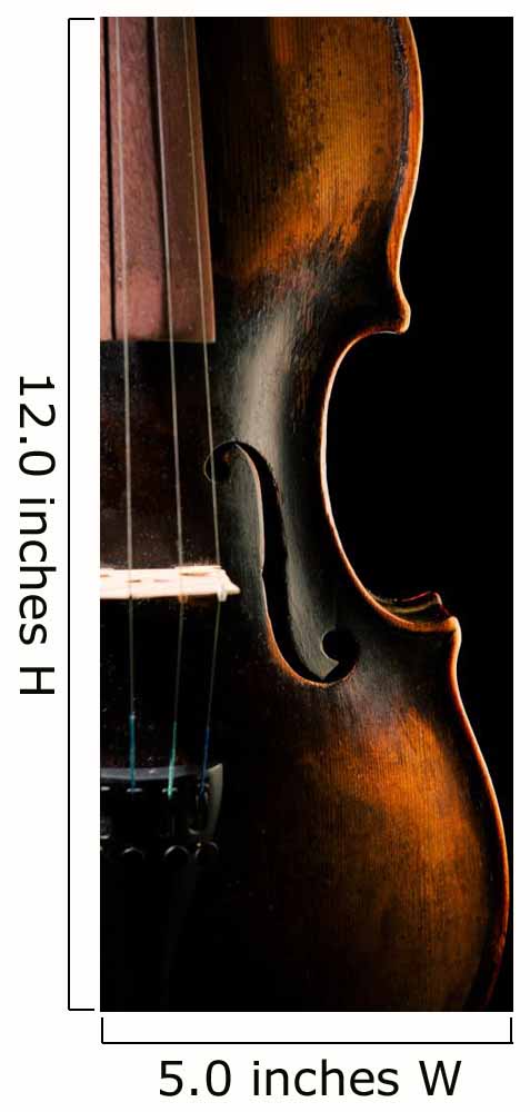 Vintage Violin Black Wall Decal