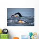 Unknown Swimmer Sea Wall Decal Design 3