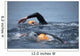 Unknown Swimmer Sea Wall Decal Design 3