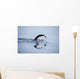 Unknown Swimmer Sea Wall Decal Design 2