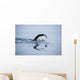 Unknown Swimmer Sea Wall Decal Design 2