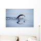 Unknown Swimmer Sea Wall Decal Design 2