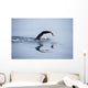 Unknown Swimmer Sea Wall Decal Design 2