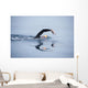Unknown Swimmer Sea Wall Decal Design 2