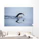 Unknown Swimmer Sea Wall Decal Design 2