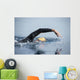 Unknown Swimmer Sea Wall Decal Design 1