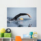 Unknown Swimmer Sea Wall Decal Design 1