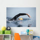 Unknown Swimmer Sea Wall Decal Design 1