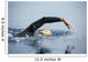 Unknown Swimmer Sea Wall Decal Design 1