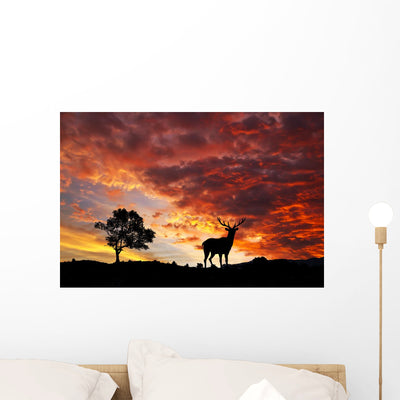 Fauna Y Naturaleza Colores Wall Decal shown on a wall