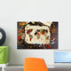 Map World Made from Wall Decal